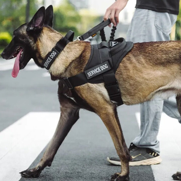 Tactical Dog Harness