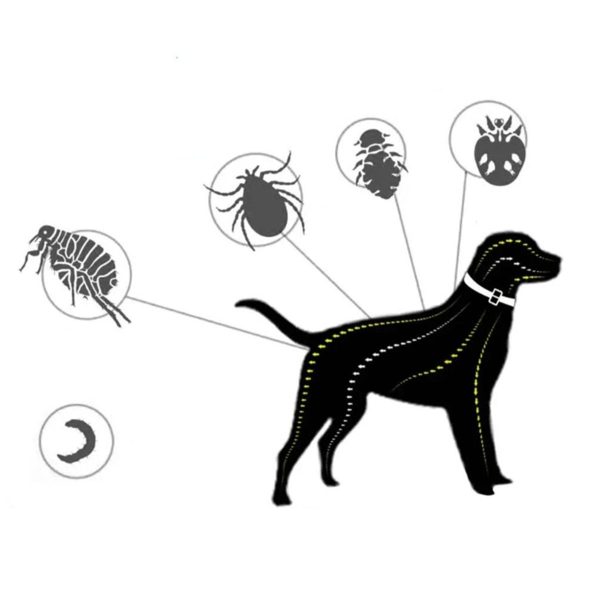 Pet Flea Eliminating Collar