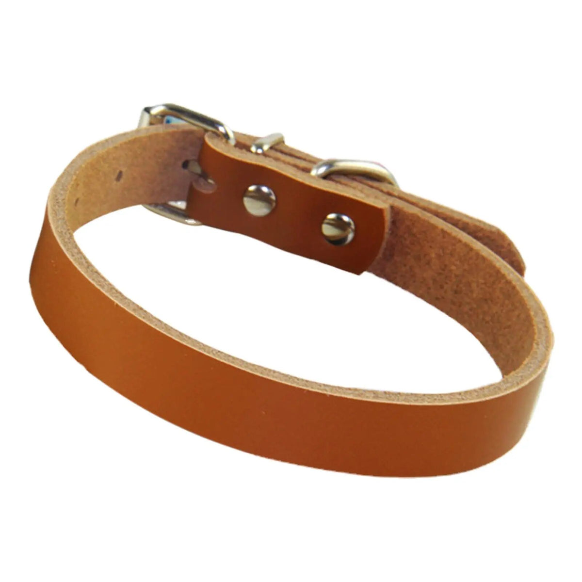 Adjustable Dog Collar