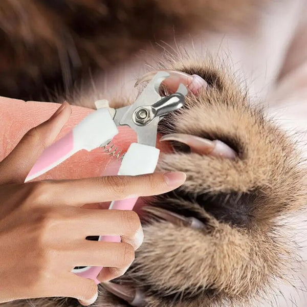 Portable Nail Trimmer