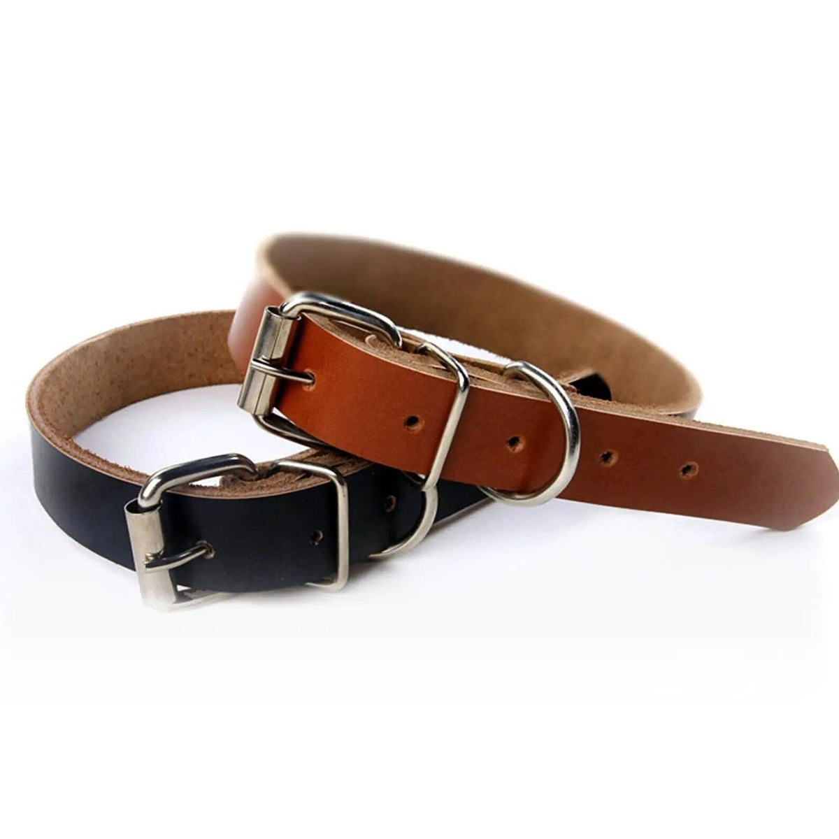 Adjustable Dog Collar