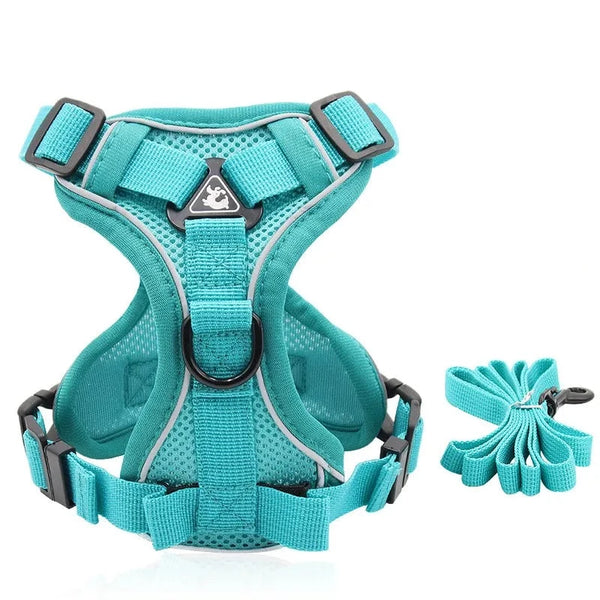 Harness and Leash Set