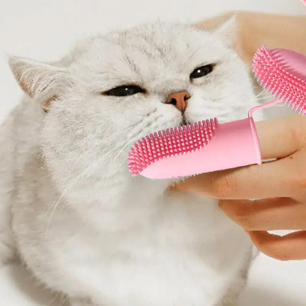 Pet Tooth Brush