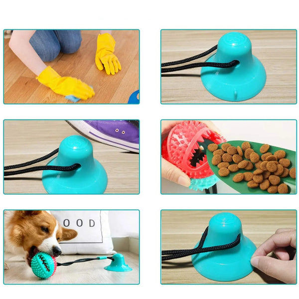 Leakage Food Ball Toy